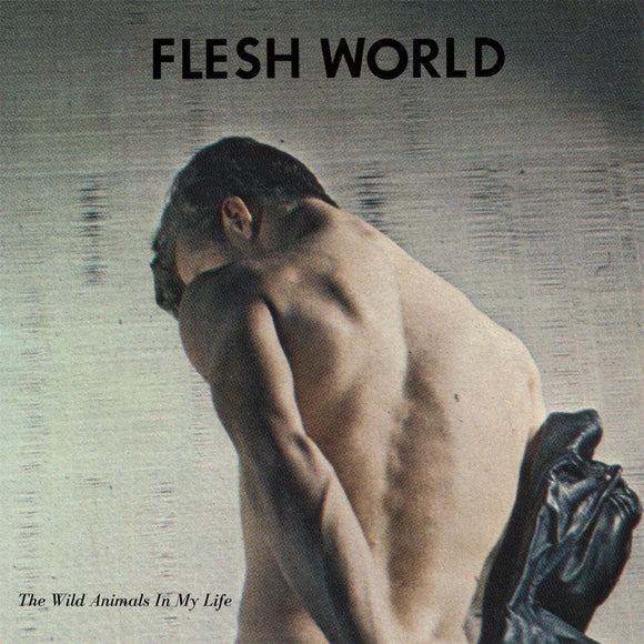 The Wild Animals In My Life by Flesh World on Iron Lung Records