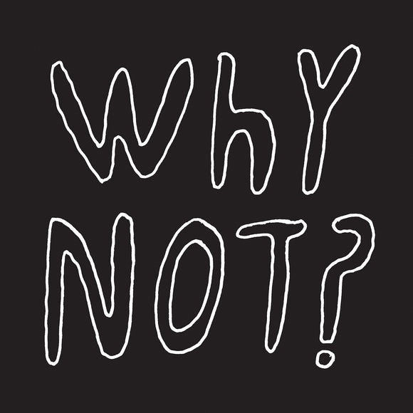 Why Not? by Half Japanese on Fire Records