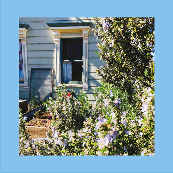 Anxiety Art by The Reds, Pinks & Purples on Tough Love Records (the album artwork is a colour photograph of an open sash window set in a white wood-panelled house with shrubbery in the foreground; the photograph is surrounded by a sky-blue wide border; there is no text or other information on the front of the sleeve)