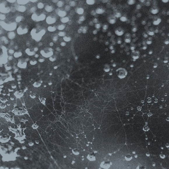 Noiseem by FUJI||||||||||TA on Thirty Three Thirty Three Records (the album artwork is a black and white close-up photograph of drops of water on a cobweb; there is no text or other information on the front of the sleeve)