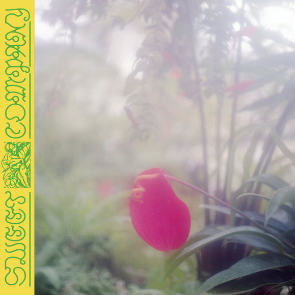 Sweet Company by Jabu on Do You Have Peace? Records