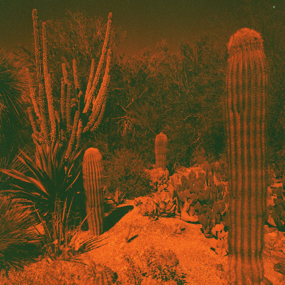 Anticipation by Cameron Knowler & Eli Winter on American Dreams Recordings (the album cover in a photograph of cacti in the desert; the photograph has been heavily tinted an orangey-red colour)