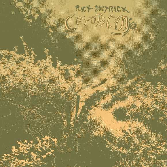 Coyote Canyon by Rick Deitrick on Tompkins Square Records (the album artwork features a sepia-coloured black and white photograph of an overgrown landscape)