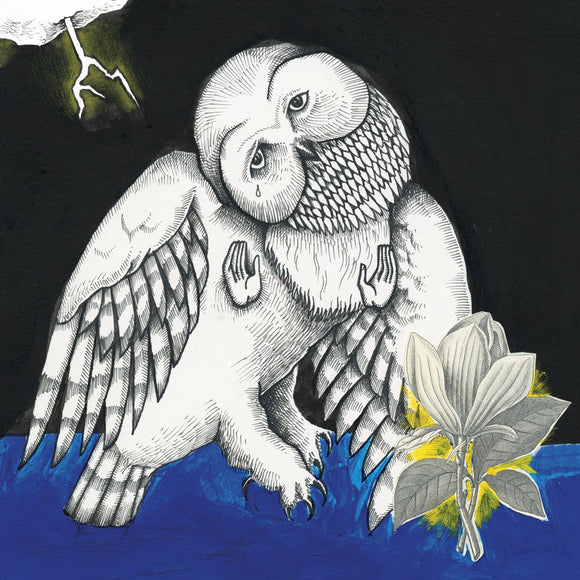 Magnolia Electric Co. by Songs: Ohia on Secretly Canadian Records